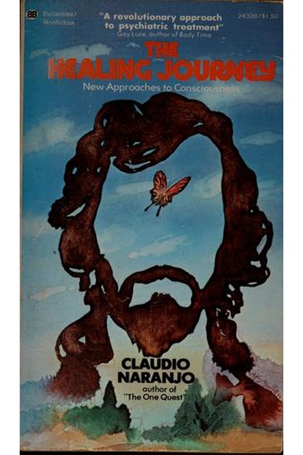 Portada de El viaje sanador