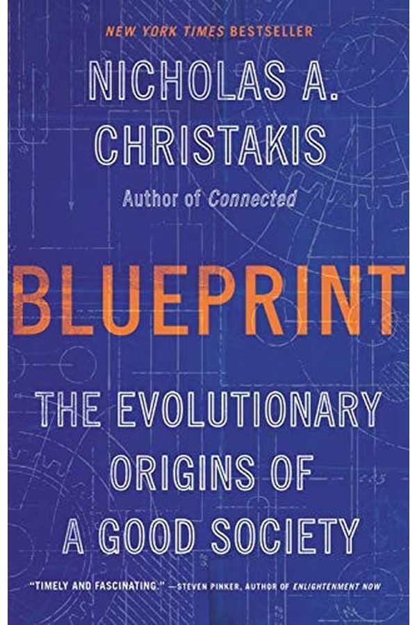 Portada de Plano: Los orígenes evolutivos de una buena sociedad