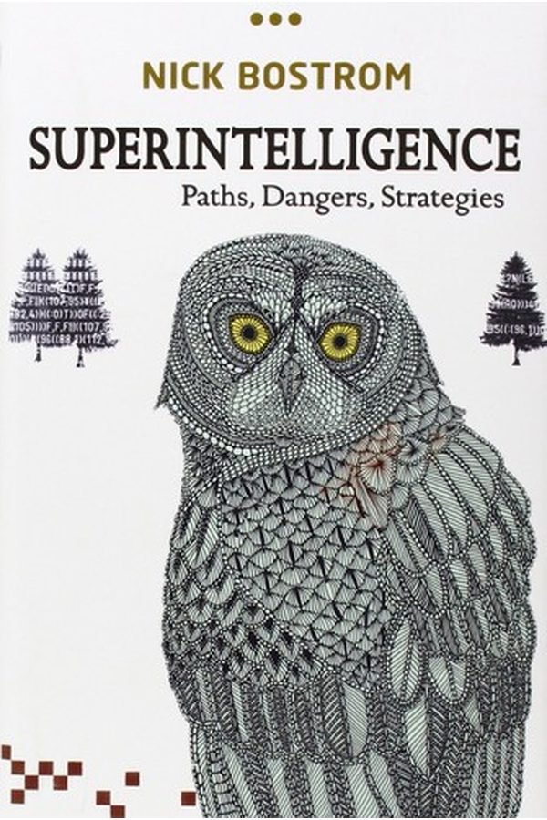 Portada de Superinteligencia